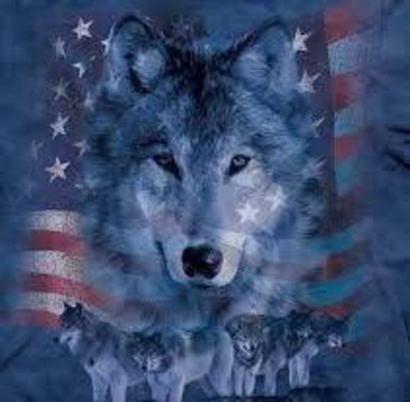 Meet your Posher, Heather - Picture 1 of 1